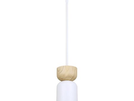 Caleb 1-Light Pendant For Cheap