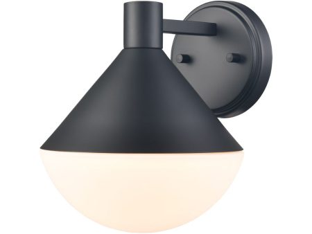 Agawa 1-Light Outdoor Sconce For Discount