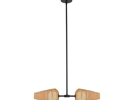 Lanai 2-Head Pendant Cheap