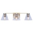 Berklie 3-Light Vanity Light For Sale