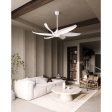 Coronado 60  Ceiling Fan Fashion