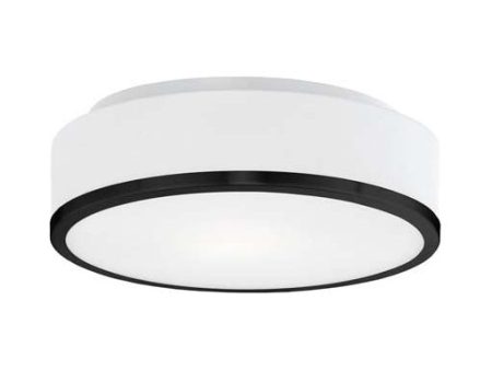 Charlie 12  Flush Mount on Sale