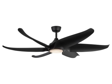 Coronado 60  Ceiling Fan Fashion