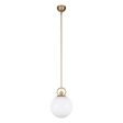 Fiore 1-Light 10  Pendant Fashion