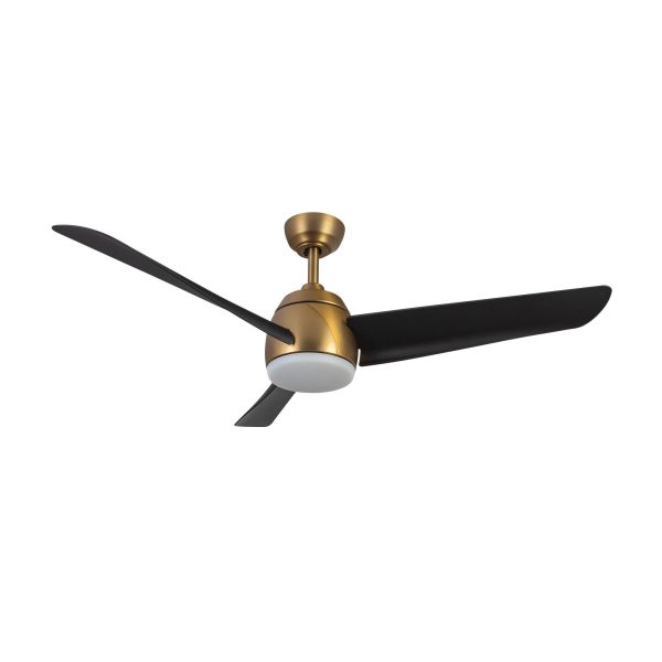 Thalia 54  Ceiling Fan Fashion