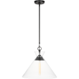 Atlantic Wide Pendant Supply