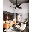 Coronado 56  Ceiling Fan Cheap