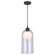 Pelia 1-Light Pendant Online now