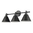 Abbington 27.5  Wide 3-Light Vanity Light Online now