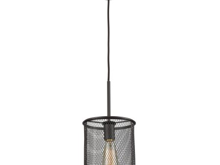 Williamsport 8  Wide 1-Light Mini Pendant Sale